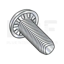 Internal Tooth, Stl Zinc/Wax