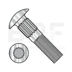 Carriage Bolts