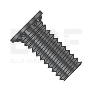 SCNB